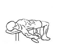 Lying Supine Biceps Curl with Dumbbells 4 Lying Supine Biceps Curl with Dumbbells 1