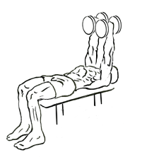 Lying Two-Arm Triceps Extension with Dumbbell 4 Lying Two-Arm Triceps Extension with Dumbbell 2