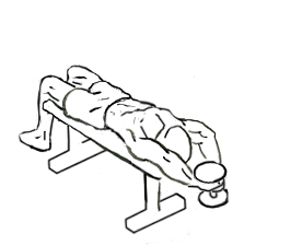 Lying Triceps Extension with Dumbbells 5 Lying Triceps Extension with Dumbbells 1