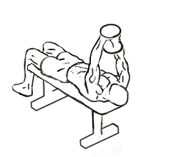 Lying Triceps Extension with Dumbbells 4 Lying Triceps Extension with Dumbbells 2