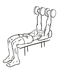 Lying Triceps Extension Across Face with Dumbbell 4 Lying Triceps Extension Across Face with Dumbbell 2