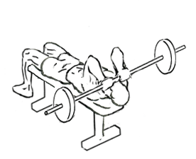 Lying Triceps Press with Barbell 5 Lying Triceps Press with Barbell 1