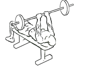 Lying Triceps Press with Barbell 4 Lying Triceps Press with Barbell 2