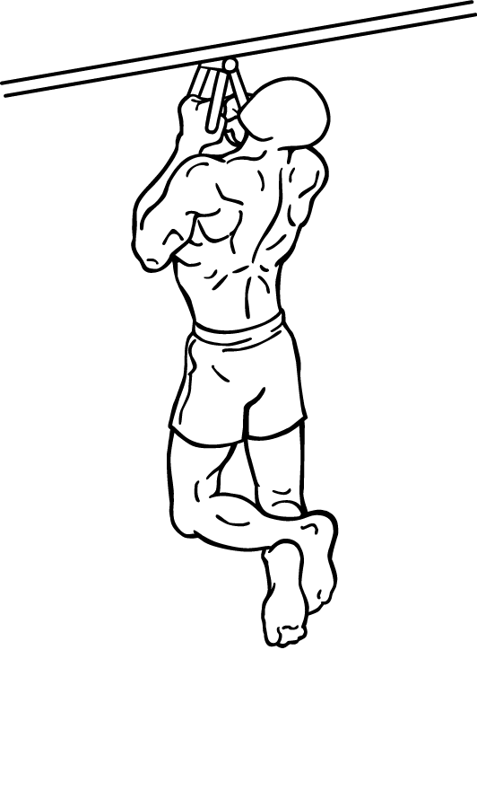 Narrow Parallel Grip Chin-ups 3 Narrow Parallel Grip Chin-ups 1