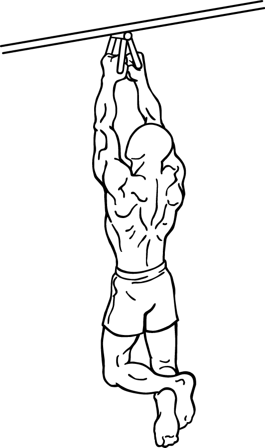 Narrow Parallel Grip Chin-ups 2 Narrow Parallel Grip Chin-ups 2