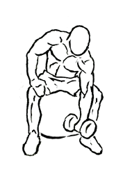 One Arm Bicep Concentration on Stability Ball with Dumbbell 4 One Arm Bicep Concentration on Stability Ball with Dumbbell