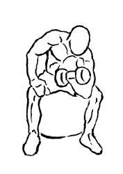 One Arm Bicep Concentration on Stability Ball with Dumbbell 5 One Arm Bicep Concentration on Stability Ball with Dumbbell