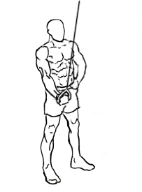 One Arm Tricep Extension with Cable 5 One Arm Tricep Extension with Cable