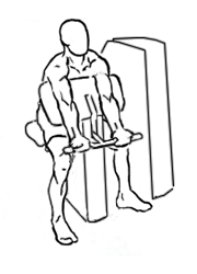 Preacher Curl with Machine 1