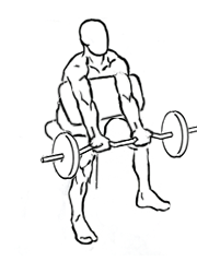 Preacher Curl with Barbell 4 Preacher Curl with Barbell 1