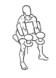 Preacher Hammer Curl with Dumbbell 5 Preacher Hammer Curl with Dumbbell 1