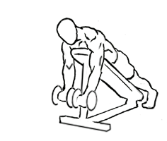 Prone Incline Biceps Curl with Dumbbell 4 prone incline biceps curl 1