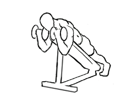 Prone Incline Biceps Curl with Dumbbell 5 prone incline biceps curl 2