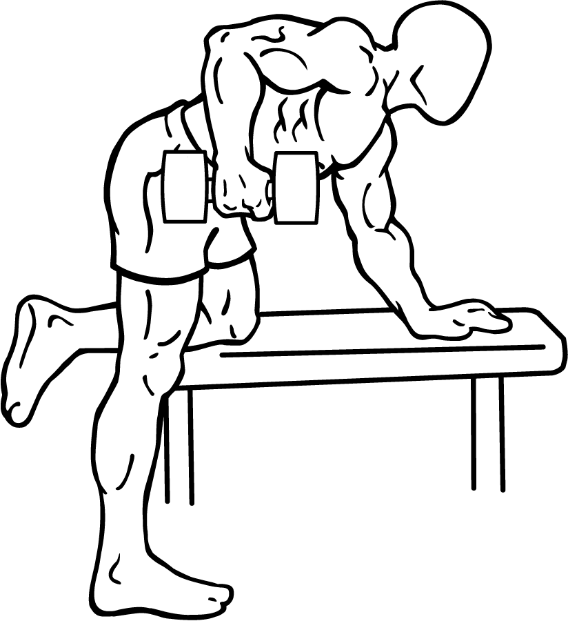 Rear Deltoid Row with Dumbbell 3 Rear Deltoid Row with Dumbbell 1