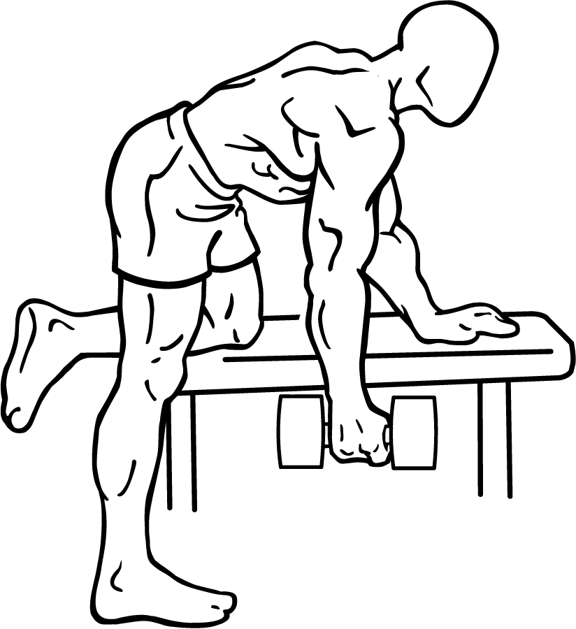 Rear Deltoid Row with Dumbbell 2 Rear Deltoid Row with Dumbbell 2