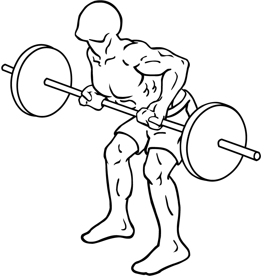 Reverse Grip Bent Over Barbell Row 3 Reverse Grip Bent Over Barbell Row 2