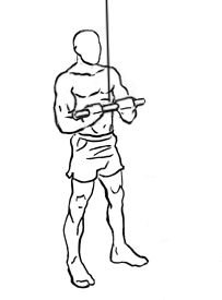 reverse grip triceps pushdown 1