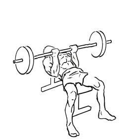 Reverse Triceps Bench Press with Barbell 1