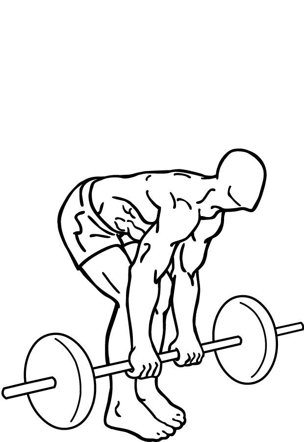 romanian deadlift 2