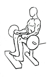 Seated Calf Raise with Barbell 4 Seated Calf Raise with Barbell 1