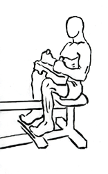 Seated Calf Raise using Machine 5 seated calf raise 2 2