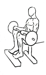 Seated Calf Raise with Barbell 5 Seated Calf Raise with Barbell 2
