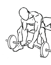 Seated Close Grip Concentration Curl with Barbell 4 Seated Close Grip Concentration Curl with Barbell 1