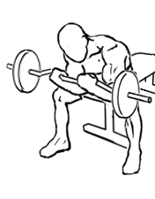 Seated Close Grip Concentration Curl with Barbell 5 Seated Close Grip Concentration Curl with Barbell 2