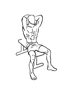 Seated Triceps Press with Dumbbell 4 Seated Triceps Press with Dumbbell 1