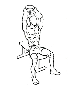 Seated Triceps Press with Dumbbell 5 Seated Triceps Press with Dumbbell 2
