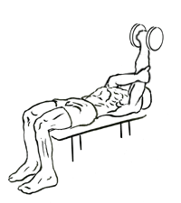 Single Arm Pronated Triceps Extension with Dumbbell 5 single arm pronated triceps extension 2