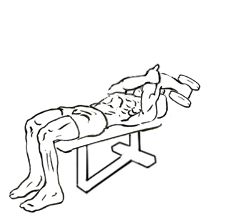 Single Arm Supinated Triceps Extension with Dumbbell 5 Single Arm Supinated Triceps Extension with Dumbbell 1