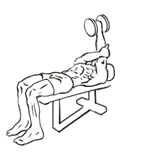 Single Arm Supinated Triceps Extension with Dumbbell 4 Single Arm Supinated Triceps Extension with Dumbbell 2
