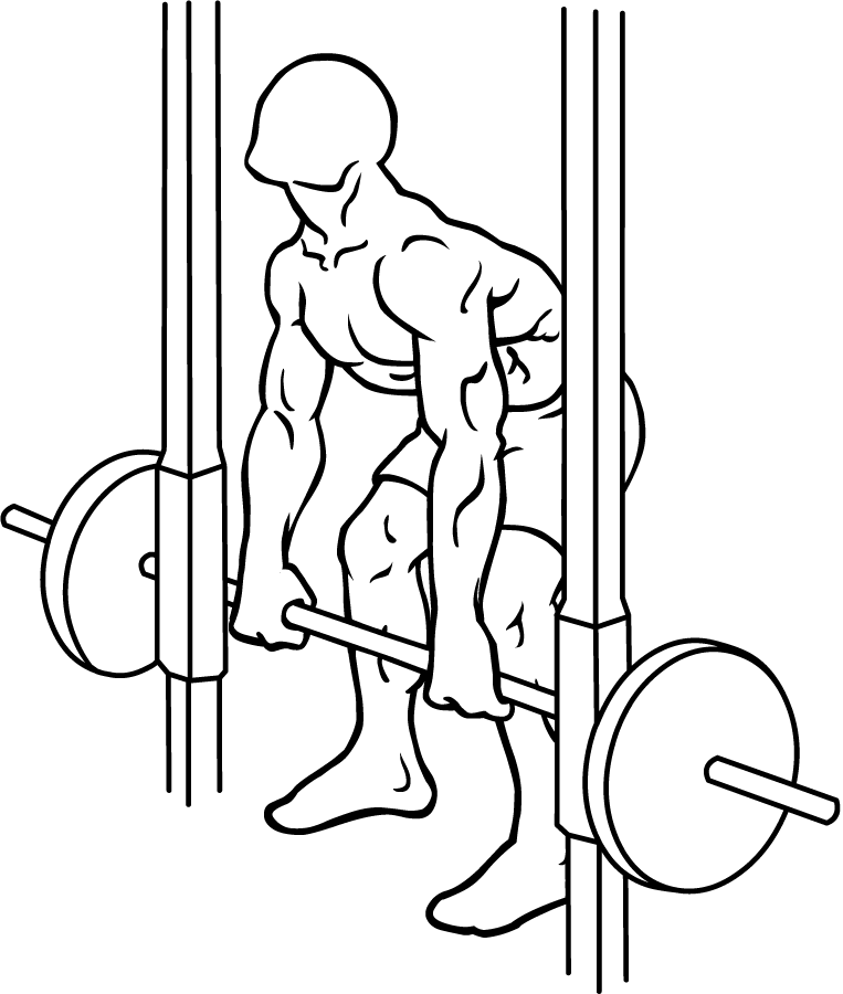 Smith Machine Rear Deltoid Row 2 Smith Machine Rear Deltoid Row 1