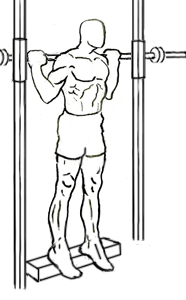 Smith Machine Reverse Calf Raise 4 Smith Machine Reverse Calf Raise 1