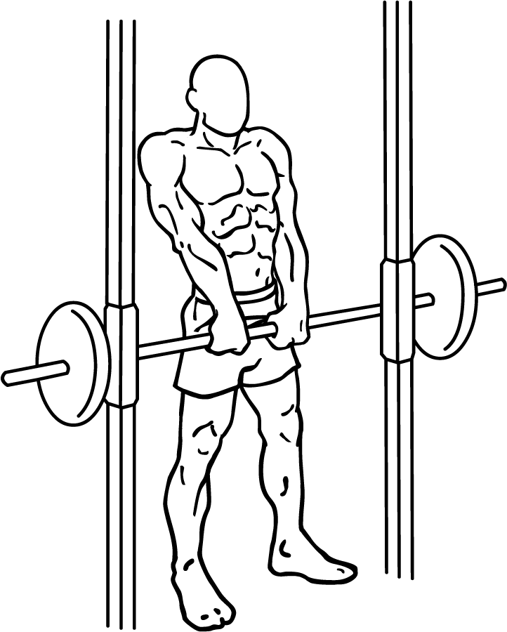 Smith Machine Shoulder Shrug 3 Smith Machine Shoulder Shrugs 1