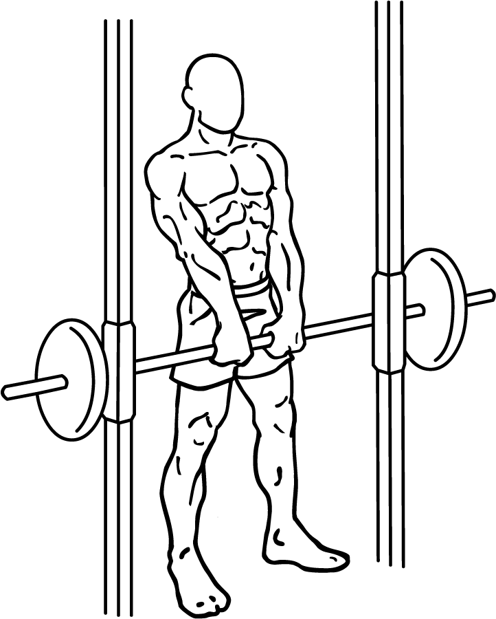 Smith Machine Shoulder Shrug 2 Smith Machine Shoulder Shrugs 2