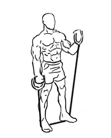 Quick Alternating Bicep Curls with Resistance Band 4 Quick alternating bicep curls with resistance bands 2