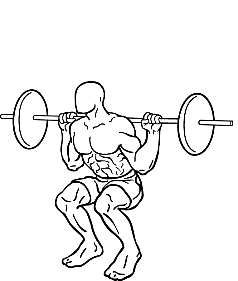 The Ultimate Guide to Barbell Squats: Mastering the King of Leg Exercises 3 barbell squats 2