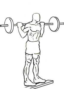 Standing Barbell Calf Raise 4 Standing Barbell Calf Raise 1