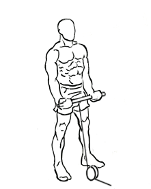 Standing Biceps Curl with Cable 4 standing biceps curl 1