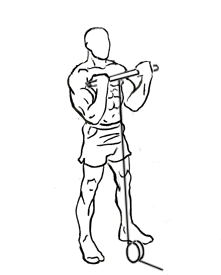 Standing Biceps Curl with Cable 5 Standing Biceps Curl with Cable 2