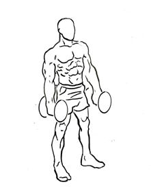 Standing Inner Biceps Curl with Dumbbells