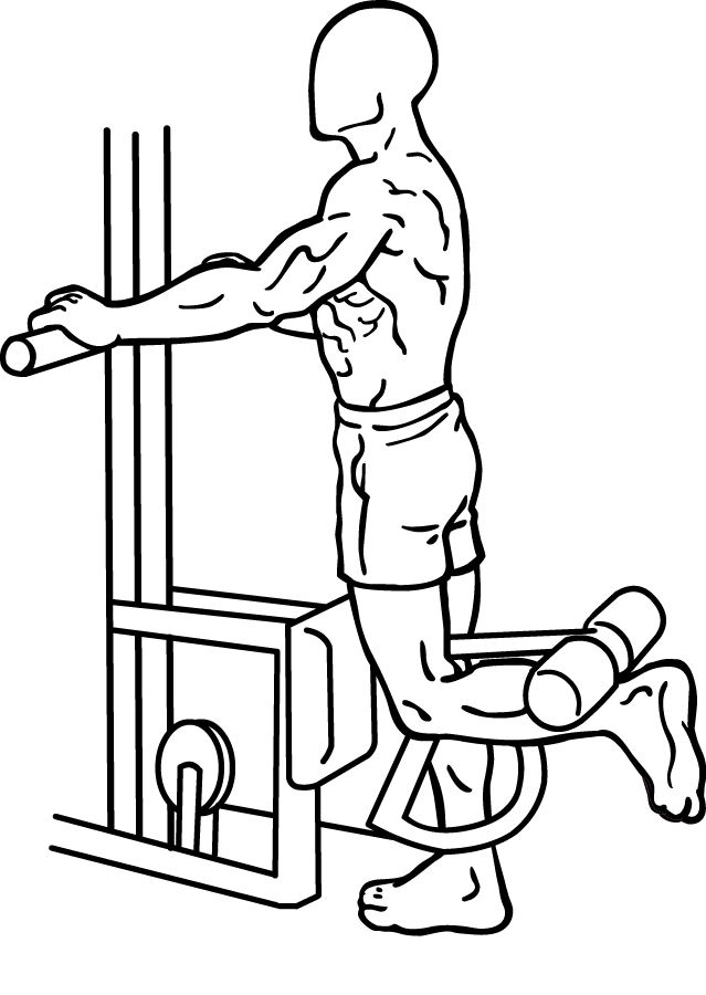 Standing Leg Curls 3 standing leg curl 1