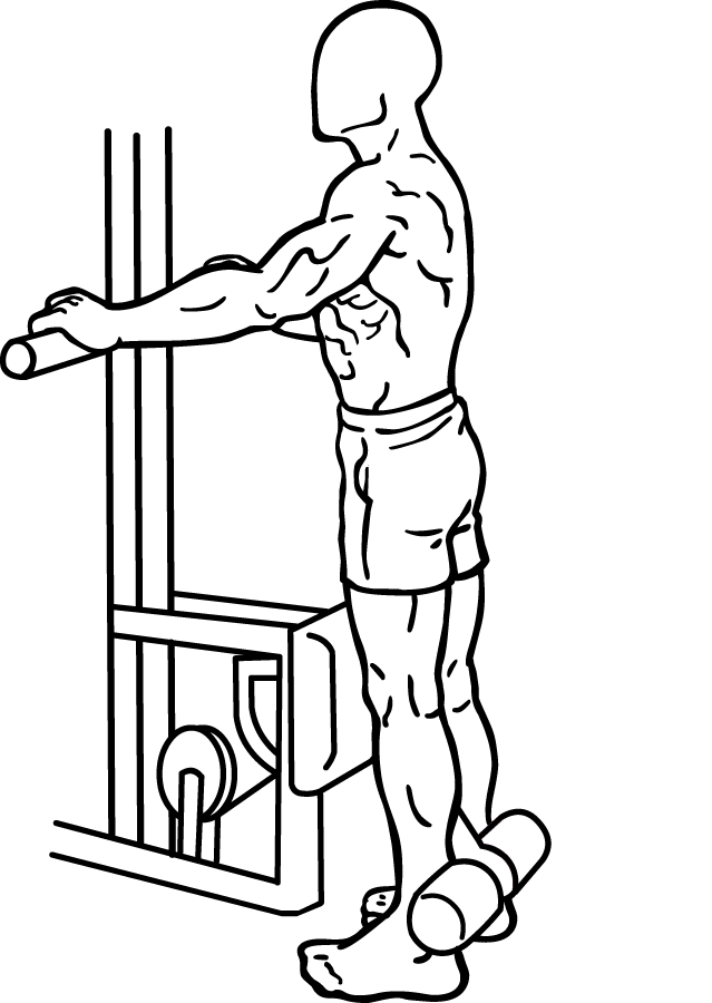 Standing Leg Curls 2 standing leg curl 2