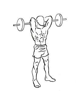 Standing Overhead Triceps Extension with a Barbell 5 Standing Overhead Triceps Extension with a Barbell 1