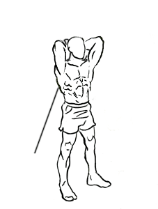 Standing Triceps Cable Extension 5 standing triceps cable extension 1