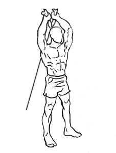 Standing Triceps Cable Extension 4 standing triceps cable extension 2