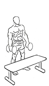 Step-Up Single Leg Balance with Bicep Curl using Dumbbells 1