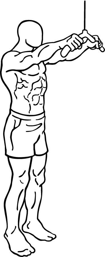 Straight Arm Push Down 2 straight arm push down 2